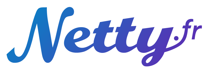 Logo Netty